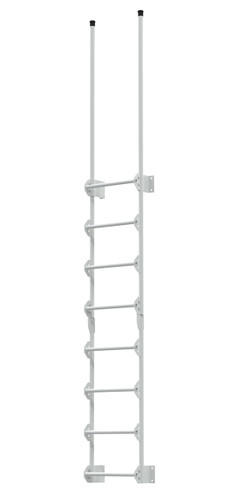 Vestil Steel Walk Through Dock Ladder - 8 Step 300 lb - White