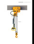 TCRM Air Hoist with Air Trolley 10' Lift-Capacity 1/8 Tons TCRM250P Air Hoist with Air Trolley HARRINGTON