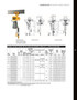 ERP Electric Chain Hoist with Push Trolley Lift-Capacity 2 Tons ERP020C Electric Chain Hoist with Push Trolley HARRINGTON