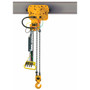 TCRM Air Hoist with Air Trolley 10' Lift-Capacity 1/4 Tons, TCRM500P-10 HARRINGTON