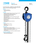 Tractel Tralift Manual Chain Hoist 1/4 T (500 lb) – 10-ft Lift