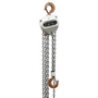 OZ Lifting 2 T Spark Resistant Chain Hoist 30 Ft. Lift