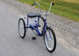 Vestil Standard Industrial Bicycle - 250 lb - Blue