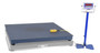 Vestil Steel Integral Scissor Lift Table Scale Option - 48 x 60 5000 lb - Blue