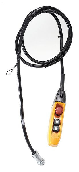 Pendant, 110V, 2 Fun Pendant, 110V, 2 Fun