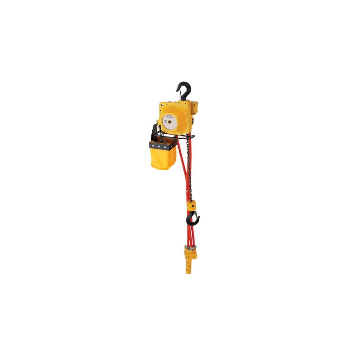 Conductix Wire Air Hoist w/ Pendant, 125 KG, 3M RC3/8