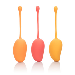 219104 - Calexotics Kegel Training Set 219104 - Calexotics Kegel Training Set