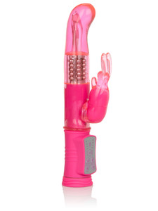 157992 - Shanes World Jack Rabbit G 157992 - Shanes World Jack Rabbit G