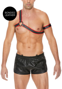 270088 - Gladiator Harness 270088 - Gladiator Harness