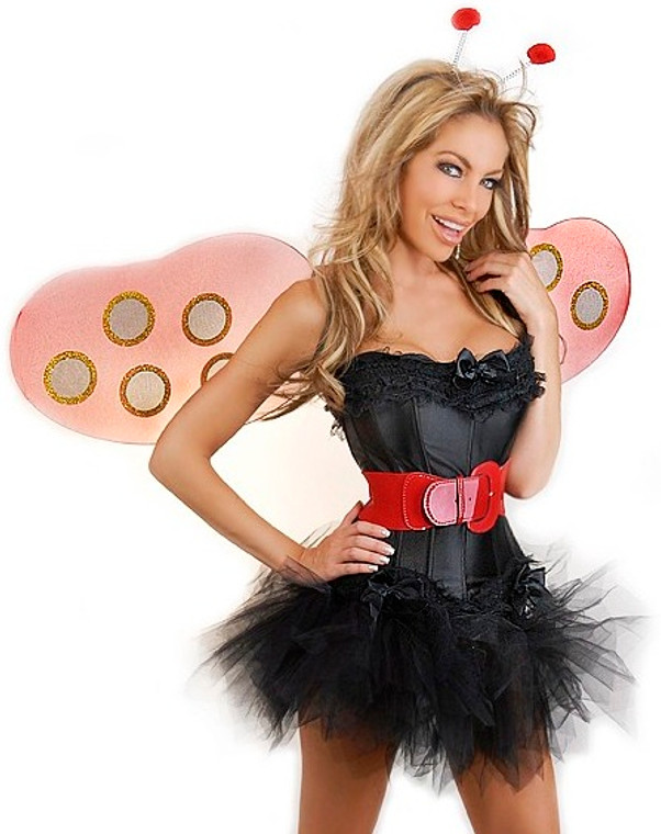 13555 - 5 Pc Sexy Ladybug Costume