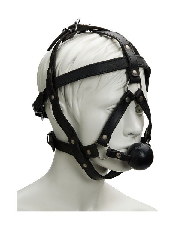 245518 - Bound X Heavy Duty Head Harness With Ball Gag