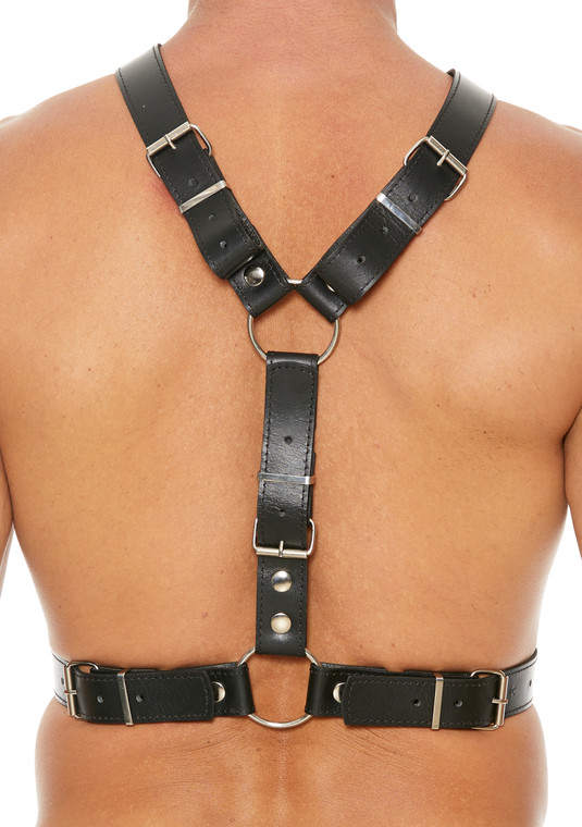 250248 - Leather Harness With Metal Bit