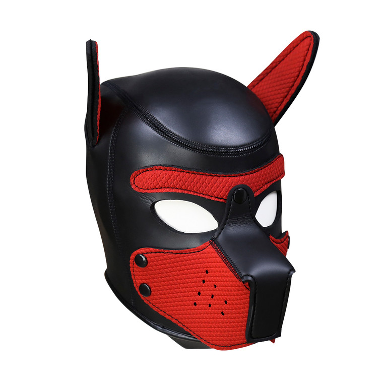 249223 - Mans Best Friend Puppy Hood