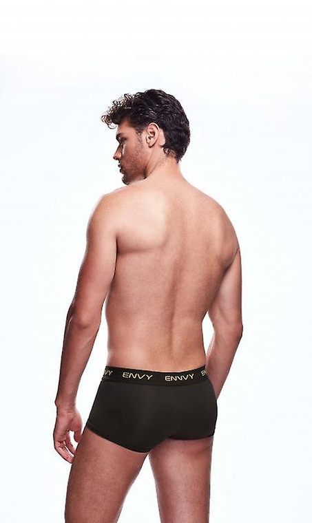 246244 - Envy Mesh Short Boxer