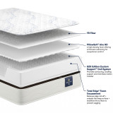 Serta Cyprus Firm 9" Mattresses