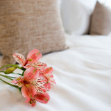 300 Ct. White Fitted Sheets - Queen 60"x80"x15" (6/pk)