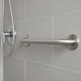 Stainless Steel Grab Bar in Shower