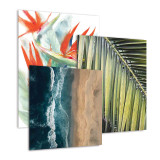 Tropical Canvas Wrap Collection