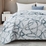 Aries Pinsonic Quilted Coverlets