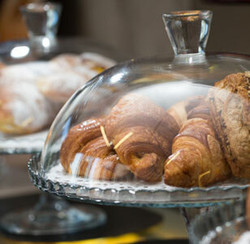 Display Cases / Trays