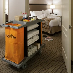 Plastic Housekeeping Carts
