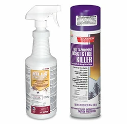 Bed Bug Treatment & Control