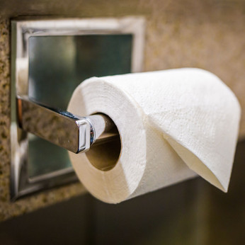 Recessed Stainless Steel Toilet Paper Holders