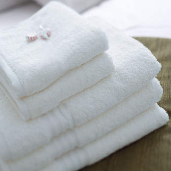 Euro Hotel Collection Cotton Guest Room Towels - White