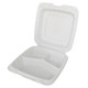 3-Compartment Plastic Hinged Square Container