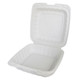 1-Compartment Plastic Hinged Square Container