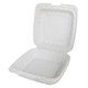 1-Compartment Plastic Hinged Square Container