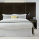 Arlington Queen Headboard - 62"W x 48"H (3" Power Depth)