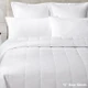 Evermore 5" Box Stitch Down Alternative Blanket- Twin 65"x96" (24 oz Fill)