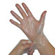 Polyethylene Disposable Gloves - 1,000 per Case