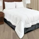 Ultra Soft Duvet Insert (70 oz. Fill) - Queen 90"x96"