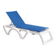 White Frame/Blue Sling