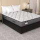 Sealy Dunmore Soft Mattress Set - Twin XL 38"x80"x11"