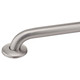 Stainless Steel Grab Bar