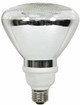 18 Watt Par 38 Flood Light