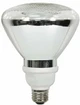 23 Watt Par 38 Flood Light