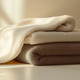LodgMate Ultra Plush 100% Polyester Blankets