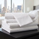 LodgMate 300 ct. White Sheets and Pillowcases