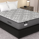 Sealy Gaffney Soft Mattress - Twin 38"x75"x13"