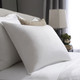 Comforel Pillow - Queen (20x30) - 27 oz. Fill
