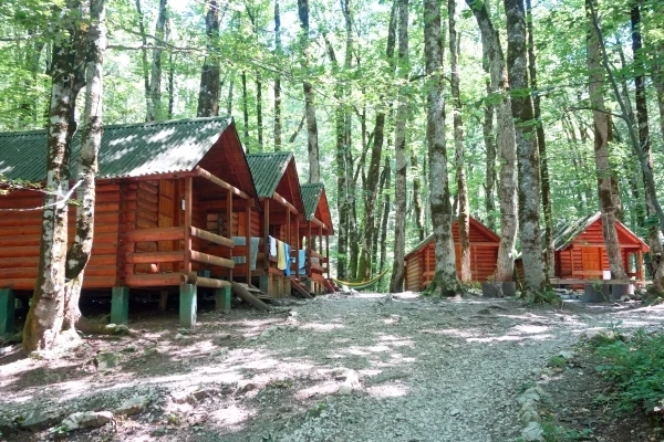 Summer Camp and RV Resort Mattress Protectors