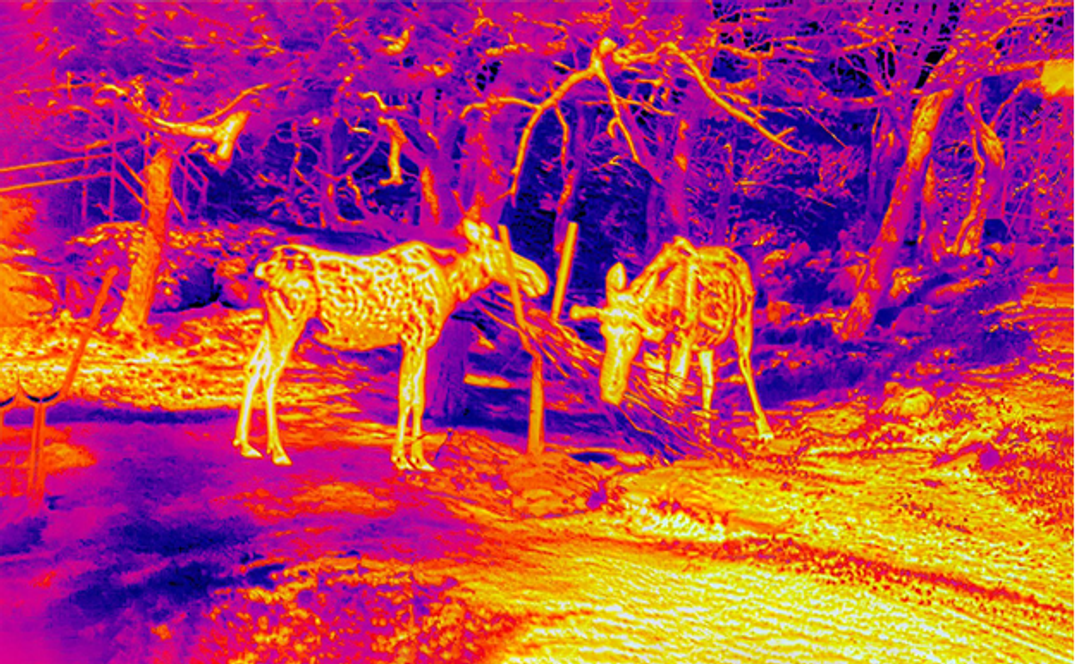 Thermal Scopes: Terminology and Nomenclature
