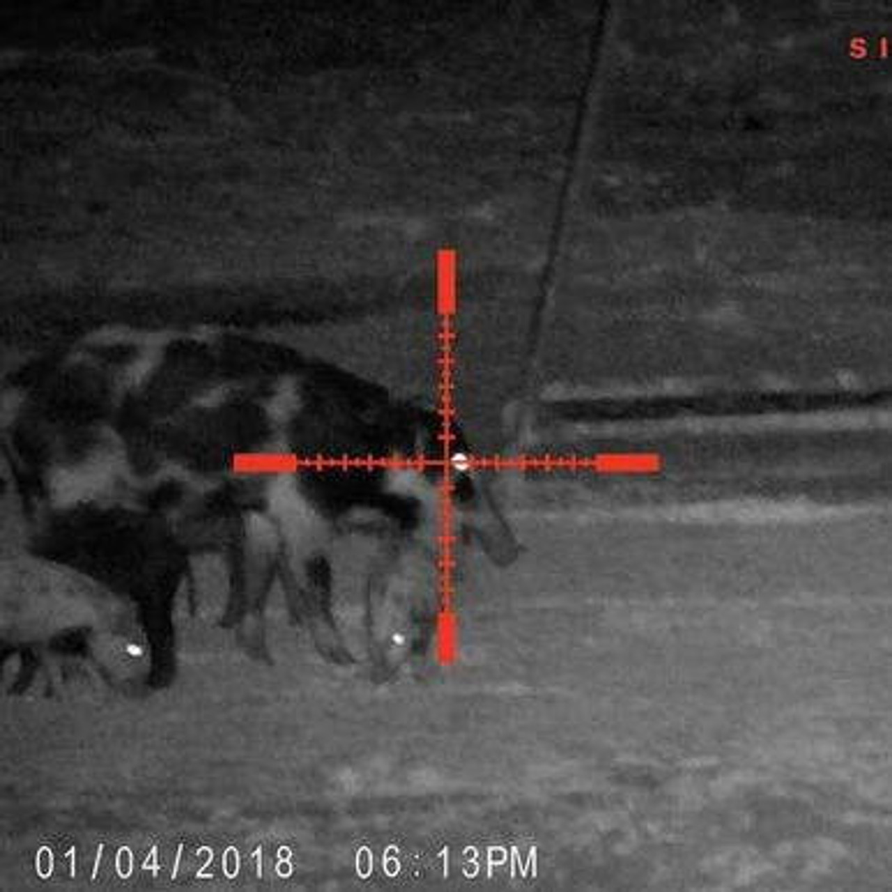 SIGHTMARK WRAITH HD 4-32X50 DIGITAL RIFLESCOPE