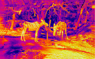Thermal Scopes: Terminology and Nomenclature