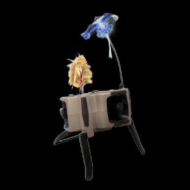 Order X360 Game Caller Online | Dark Night Outdoors