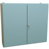 1422Vw12 N12 Dbl Door Wallmount Encl w/Panel - 42 x 48 x 12 - Steel/Gray